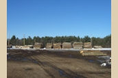 Log Piles4