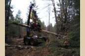 Tree Harvester